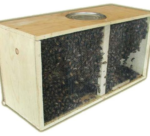3lb. Bee Package